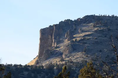 DSC_3030 (Large).JPG